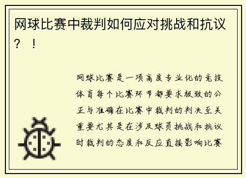 网球比赛中裁判如何应对挑战和抗议？ !